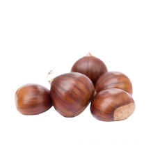 2021 new chestnut brown sweet and easy peeled for hot selling
